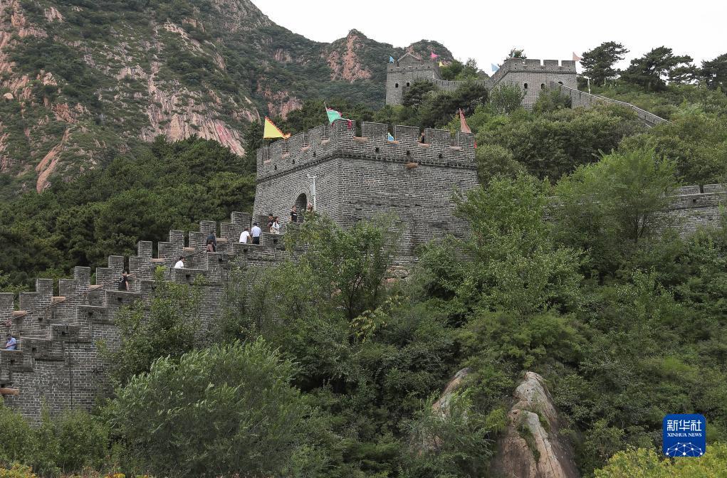 微乐斗地主安卓版